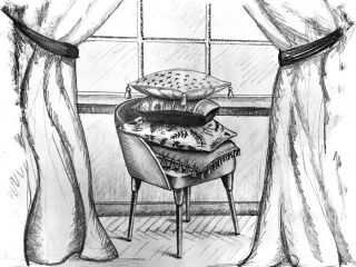 Сопутствующие товары